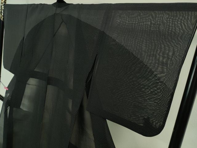 平和屋本店■極上 夏物 本塩沢 夏塩沢 飛白時雨 蝉羽の衣 南雲織物謹製 証紙付き 逸品 DZAA6811kh5