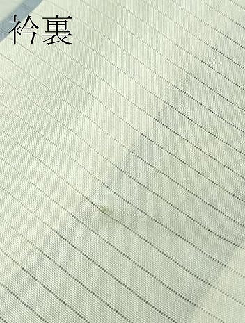 平和屋着物*極上 夏物 小紋 朝顔 逸品 DZAA6916kh5