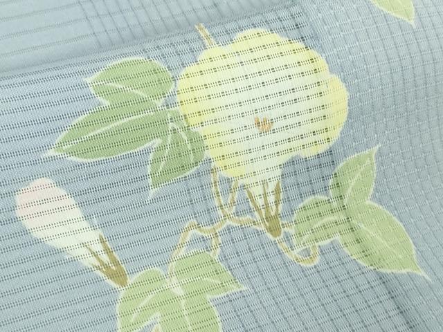 平和屋着物*極上 夏物 小紋 朝顔 逸品 DZAA6916kh5