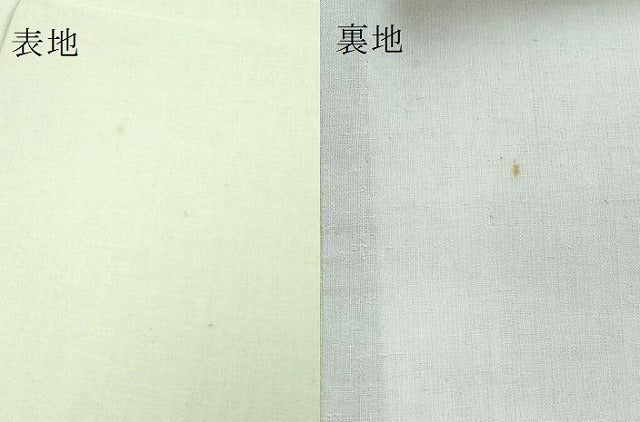 平和屋着物●極上 太鼓柄袋帯 スリーシーズン帯 紬地 玉蟲 洋花文 金彩 逸品 DZAA8576kh5