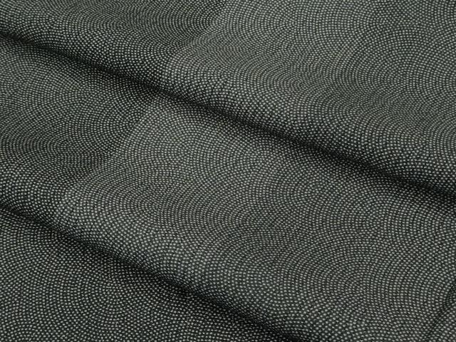 平和屋着物*極上 夏物 江戸小紋 縦絽 鮫小紋柄 間道 黒地 逸品 DZAA9416kh5