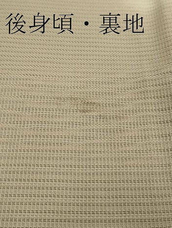 平和屋着物*極上 夏物 訪問着 絽 菊染 雪輪 暈し染め 砂色地 逸品 DZAA9445kh5