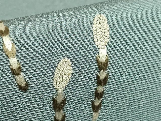 平和屋着物●極上 中国三大刺繍 相良刺繍 総刺繍 太鼓柄袋帯 子犬 逸品 DZAA9513kh5