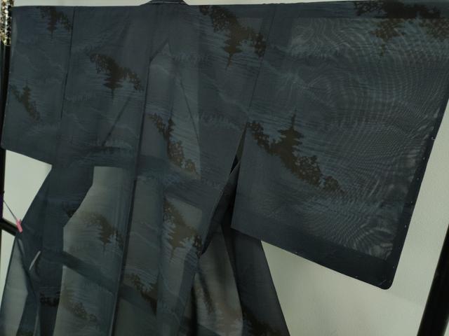 平和屋着物*極上 夏物 本場大島紬 夏大島 名所風景文 証紙付き 逸品 未使用 DZAA9627kh5