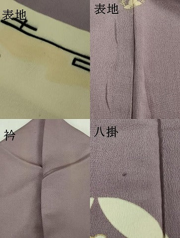 平和屋着物●極上 アンティーク 大正ロマン 色留袖 七宝花文 金銀彩 逸品 DZAB0160kh5
