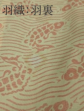 平和屋本店■極上 浦野理一 経節紬 綿紬 アンサンブル 羽織セット 間道 綿 羽織紐付き 逸品 DZAB1371kh5