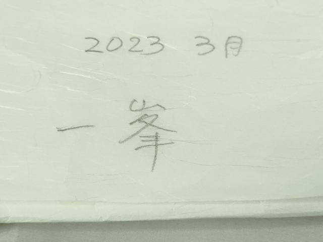 平和屋着物●極上 BANKANわものや 紬 市松文様 たとう紙付き 逸品 DZAB2768kh6