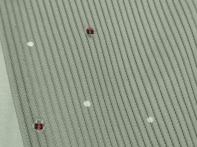 平和屋着物*極上 夏物 小紋 縦絽 てんとう虫 豆がら茶色地 銀彩 逸品 未使用 DZAB5392kh6