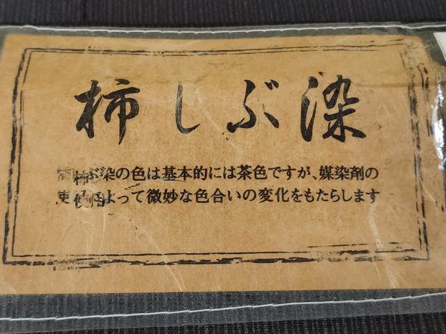 平和屋着物●極上 訪問着 柿しぶ染 天然繭糸御召 手描き 枝桜 蝉色地 金銀彩 反端付き 逸品 未使用 DZAB6091kh6