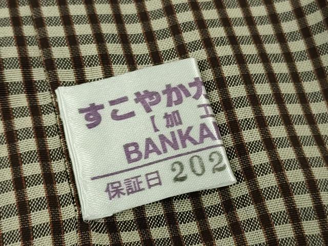 平和屋着物∞極上 BANKANわものや 道中着 リバーシブル 紗袷 スリーシーズン 塵除け ロング丈 格子 暈し染め 逸品 DZAB6810kh6