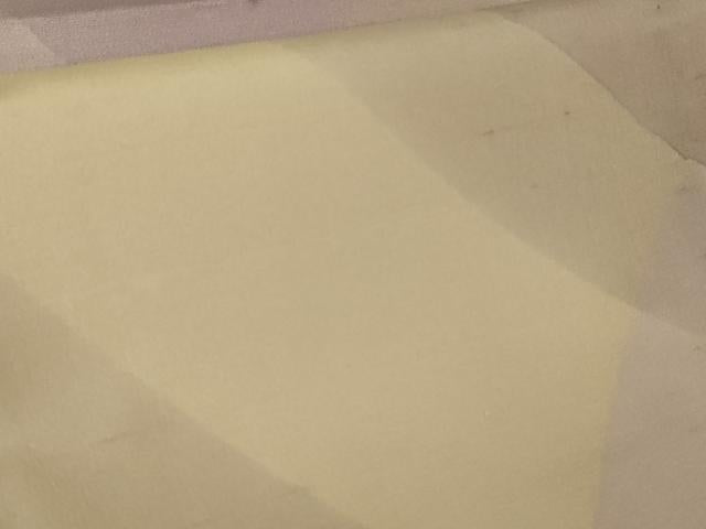 平和屋本店*極上 夏物 石川県指定無形文化財 夏牛首紬 白山工房 手織り 証紙付き 逸品 DZAB8364kh6
