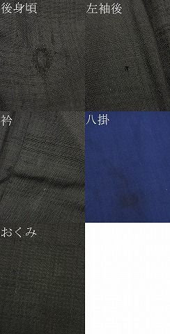 平和屋着物■男性 紬 吉祥文 逸品 BAAS1062ip