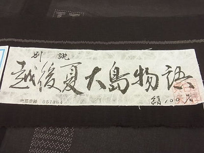 平和屋本店■極上　夏物　本場大島紬　越後夏大島物語　160亀甲　伝統工芸士　白川貞夫　白新染織謹製　証紙付き　逸品　未使用3s20966