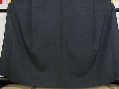 平和屋本店■極上　白鷹お召　単衣　蚊絣　着丈159.5cm　裄丈66cm　正絹　逸品　4kk4009