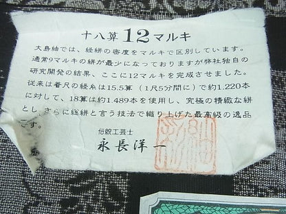 平和屋本店●極上　伝統工芸士 永長洋一　本場大島紬　十八算　12マルキ　泥染　色紙重ね花文　永長織物謹製　証紙付き　逸品　DZAA0701kh4