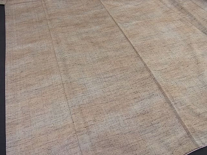 平和屋着物■上質な紬 吉祥文 逸品 BAAC8675pk