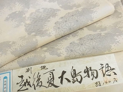 平和屋本店■極上　夏物　紗紬　越後夏大島物語　白川貞夫　雪輪文　証紙付き　正絹　逸品　未使用　KAAA0799kk4