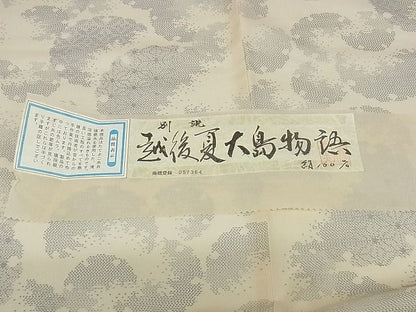 平和屋本店■極上　夏物　紗紬　越後夏大島物語　白川貞夫　雪輪文　証紙付き　正絹　逸品　未使用　KAAA0799kk4