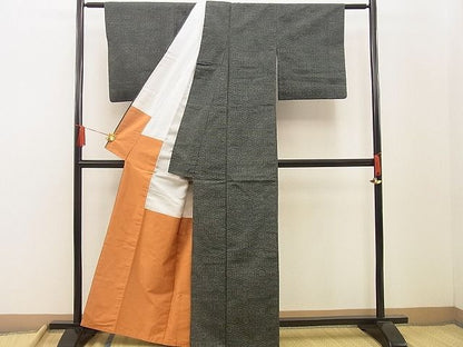 平和屋着物■上質な紬 子持ち亀甲 逸品 BAAE2001xi