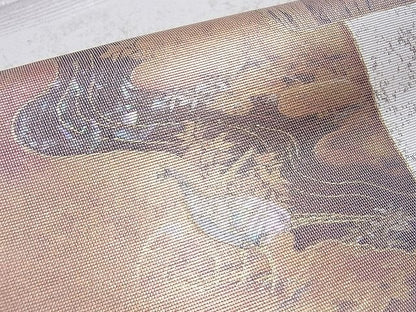 平和屋着物■六通太鼓柄袋帯 螺鈿箔 色紙重ね流水花鳥文 金彩 逸品 CAAE8994hy