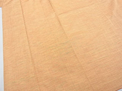 平和屋着物■上質な紬　紬地　霞文　逸品　DAAD4303we