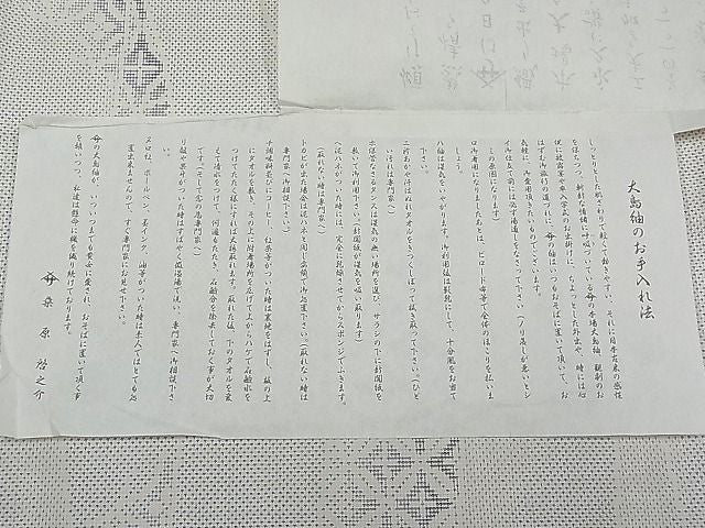 平和屋本店●極上 本場大島紬 白大島紬 桑原織物 二代目 桑原啓之介 9マルキ 七宝よろけ縞 ますいわ屋扱い 証紙付き 逸品 CYAA0259s4