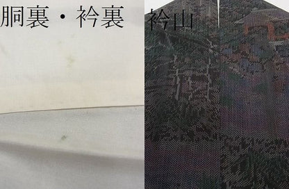 平和屋着物■上質な紬 風景樹林文 逸品 CAAF0211ev