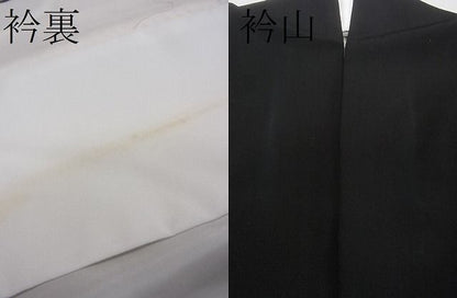 平和屋着物■豪華黒留袖 京名所風景文 金彩 逸品 CAAF5348ev