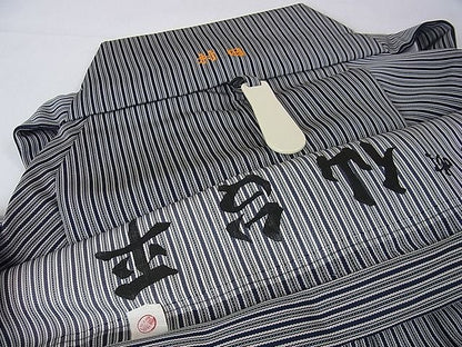 平和屋本店■極上　男性　伊吹　仙台平　馬乗袴　縞　逸品　DZAA1571kh4