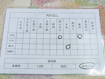 平和屋着物◎佐賀錦 六通柄袋帯 菱天井花丸文 金銀糸 逸品 BAAH2807jm