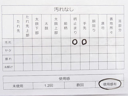 平和屋着物◎佐賀錦 六通柄袋帯 京絵巻 金銀糸 逸品 BAAI1170sa