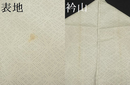 平和屋着物■上質なお召 吉祥文 逸品 CAAG8958fb