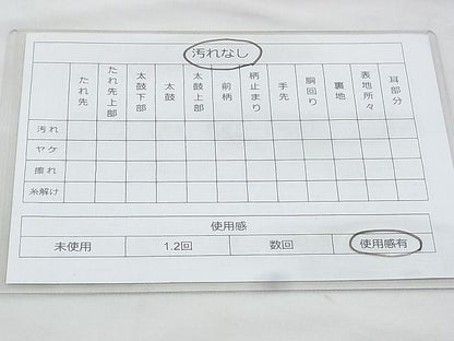 平和屋着物◎佐賀錦 六通柄袋帯 笠松 金糸 逸品 BAAI0421if