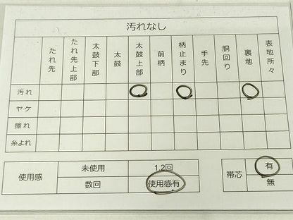平和屋着物◎太鼓柄袋帯 手描き 枝椿 金彩 逸品 DAAG1467we