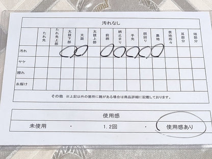 平和屋着物◎六通柄袋帯 檜垣雲文 金銀糸 正絹 逸品 AAAL8056Bcx