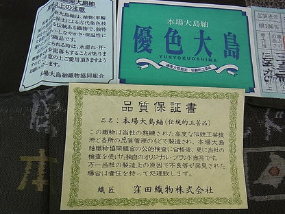 平和屋本店●極上　本場大島紬　12マルキ　泥染　優色大島　窪田織物謹製　優粋ブランド　虎　龍　証紙付き　逸品　DZAA2043kh4