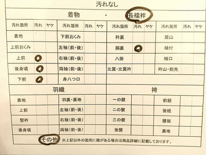 平和屋着物■長襦袢 袷 亀甲草花地紋 暈し染め 正絹 逸品 BAAL5523bs