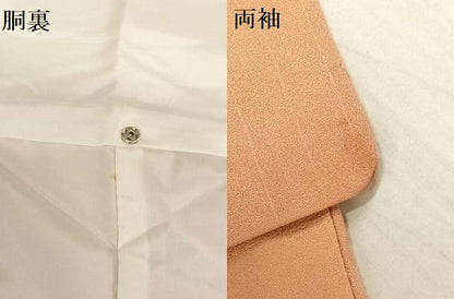 平和屋着物●訪問着 手描き 刺繍 草木文 暈し染め 正絹 逸品 AAAM6818ph