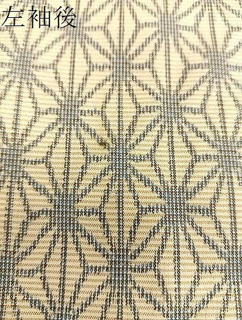 平和屋着物■上質なお召 麻の葉文様 正絹 逸品 BAAM1162sa
