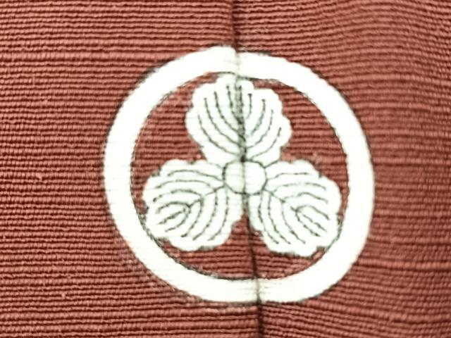 平和屋着物■豪華色留袖 雪芝花文 金彩 お召縮緬 正絹 逸品 BAAQ8408bs