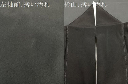 平和屋着物■豪華黒留袖　檜扇花鳥文　金彩　正絹　逸品　BAAR5121ui