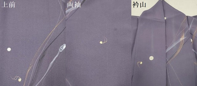 平和屋着物●上質な小紋 刺繍 抽象文様 金彩 ますいわ屋扱い 正絹 逸品 DAAR0312yyy