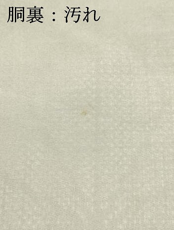 平和屋着物●上質な紬 麻の葉文様 正絹 逸品 DAAR4338tw