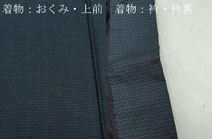 平和屋着物●男性 本場大島紬 アンサンブル 120亀甲 総詰め 正絹 逸品 CAAR8134vf
