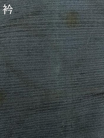平和屋着物▽上質な紬　単衣　七宝文　正絹　逸品　AAAV2579fy