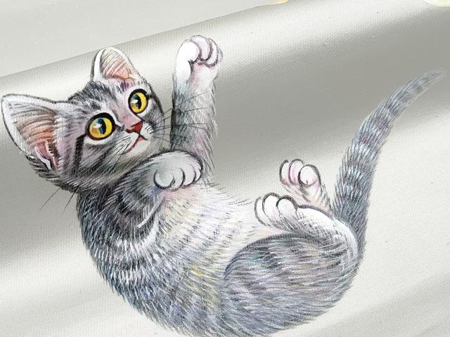 平和屋本店●極上 太鼓柄袋帯 手描き 猫 蝶 引箔 逸品 CYAA2388s5