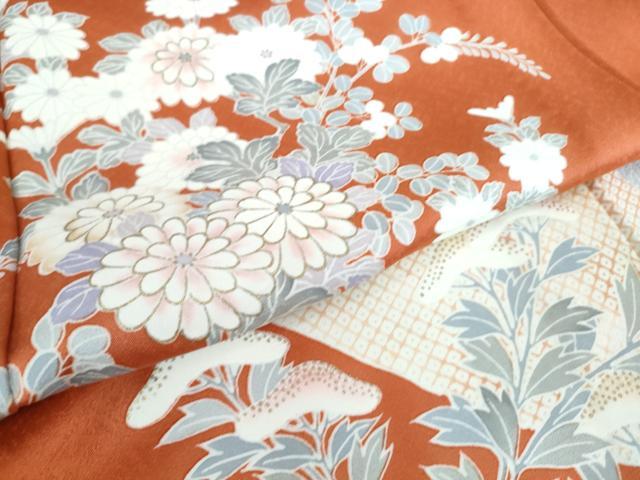 平和屋着物▽訪問着　単衣　菊尽くし　金彩　正絹　逸品　DAAS0590az