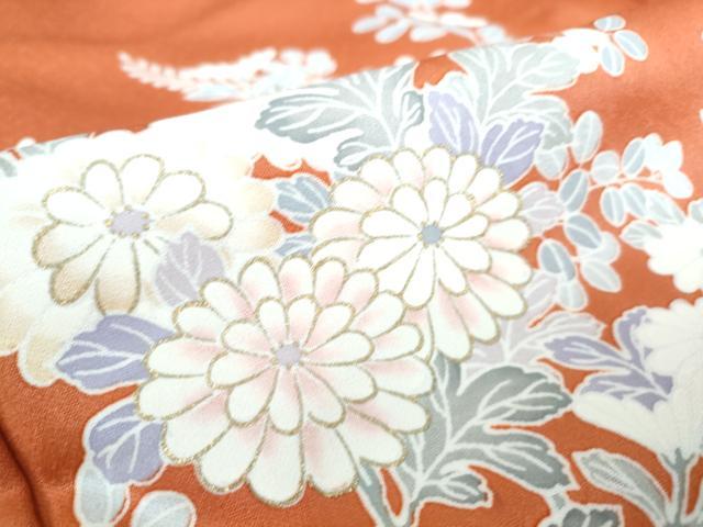 平和屋着物▽訪問着　単衣　菊尽くし　金彩　正絹　逸品　DAAS0590az