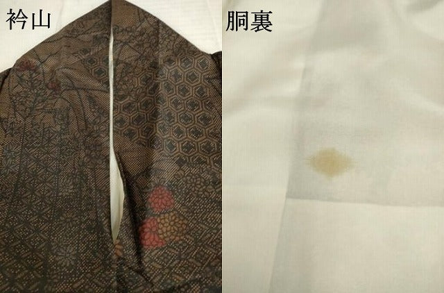 平和屋着物●本場染大島紬　草花文　正絹　逸品　AAAV8905ma