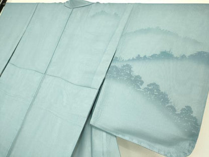 平和屋着物▽訪問着 無双 紗袷 紗×絽 飛鳥樹林文 さが美扱い 正絹 逸品 DAAS0996az